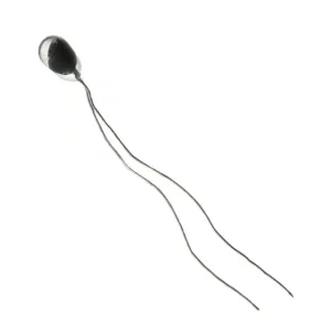 Honeywell 112-503JAJ-B01